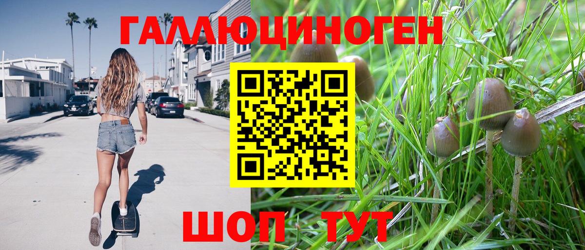 Галлюциногенные грибы ЛСД Баксан