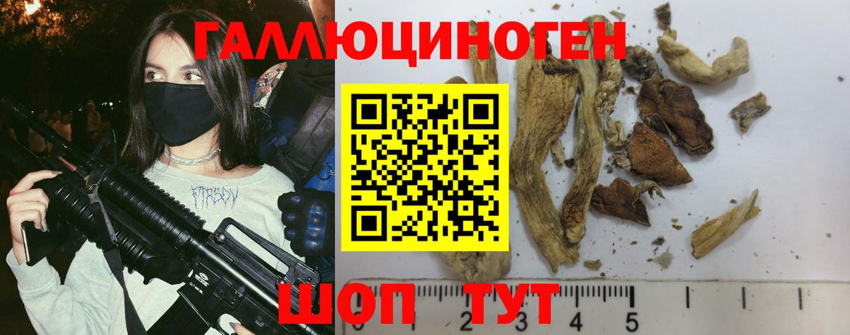 Баксан  Галлюциногенные грибы MAGIC MUSHROOMS  Вход с VPN 